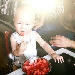 爸爸吃瓜酱,揭秘家庭美食新风尚