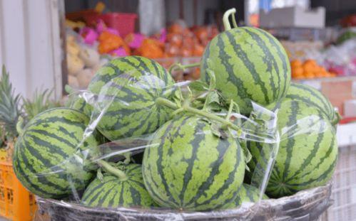 吃瓜为乐,揭秘娱乐圈幕后趣闻