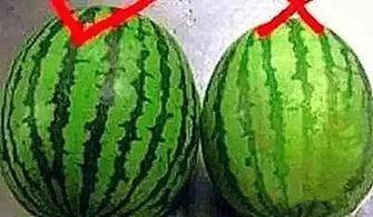 天热吃瓜的图片,瓜果飘香——尽享清凉美味时光