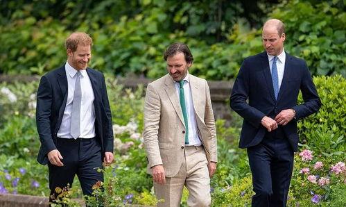 双男吃瓜,揭秘娱乐圈背后的神秘故事